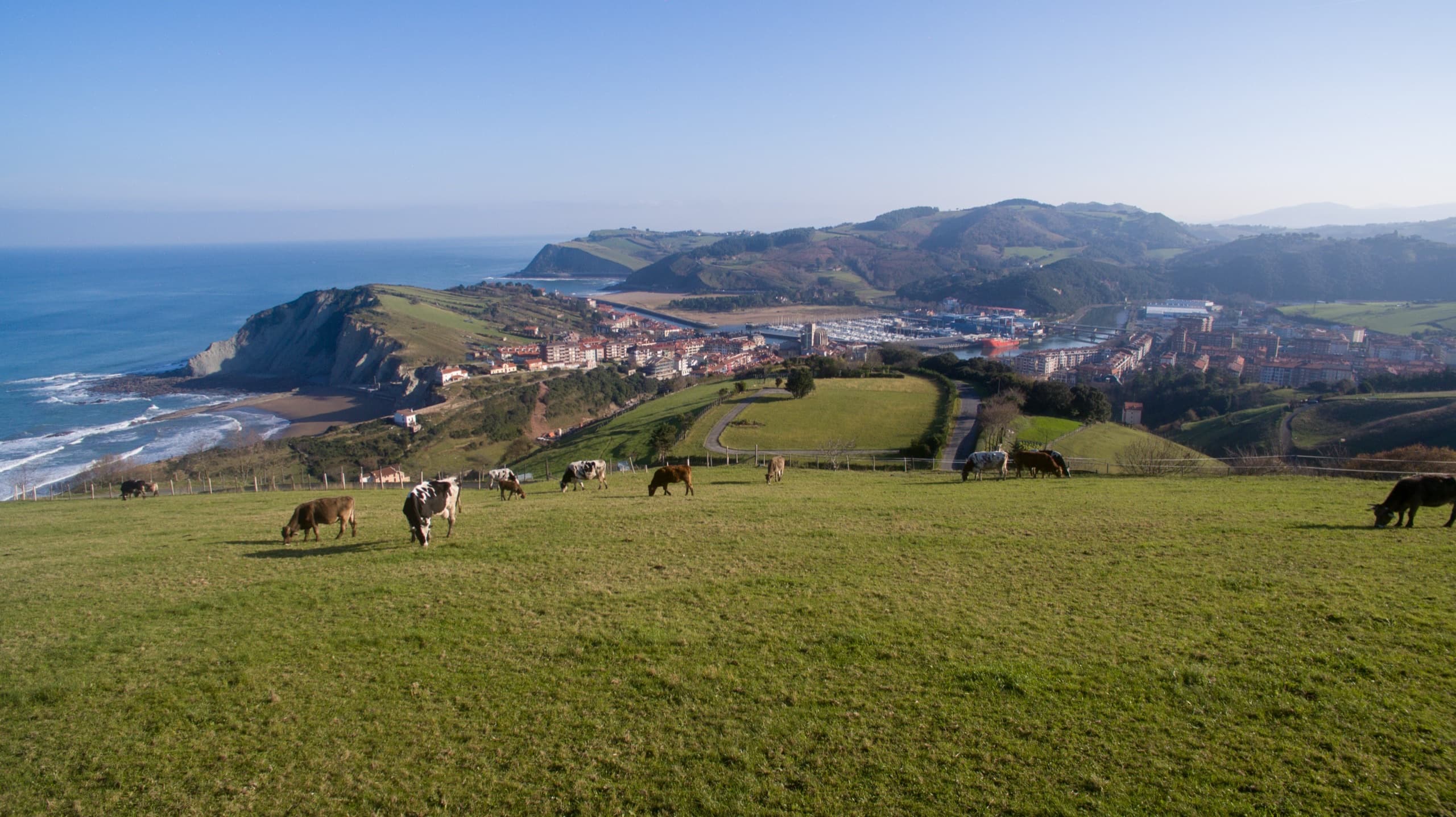 Los prados de Santa Klara desde el aire, con la costa de Zumaia al fondo