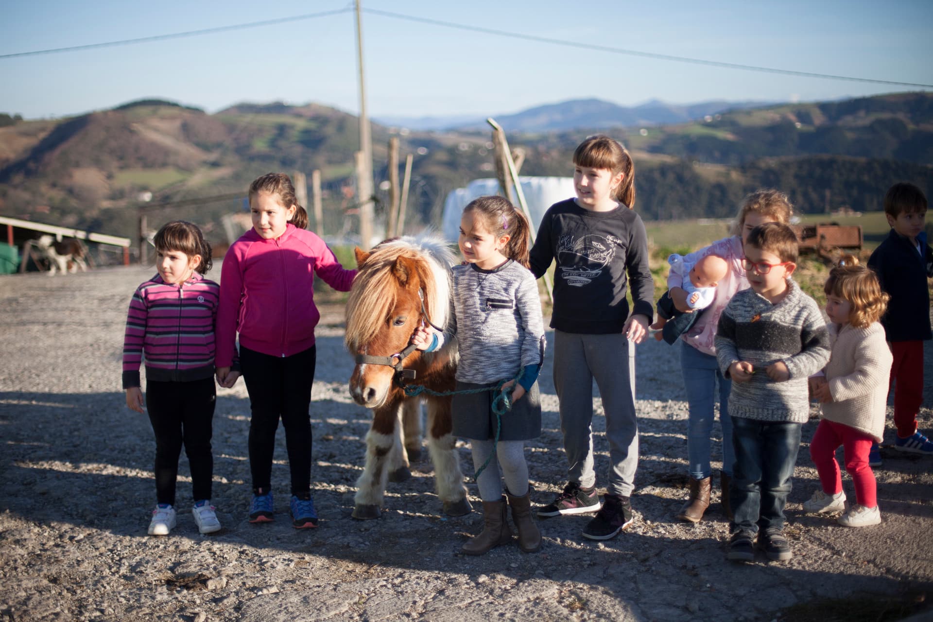Un grupo de niños rodea al poni en el camino de la finca