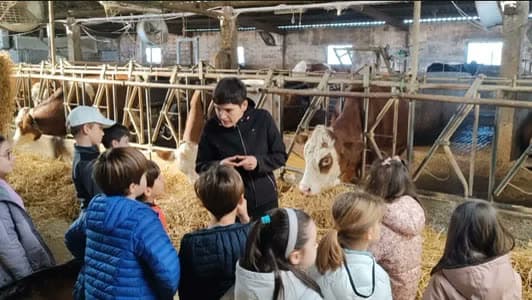 Un grupo de escolares atiende a la explicación dentro del establo